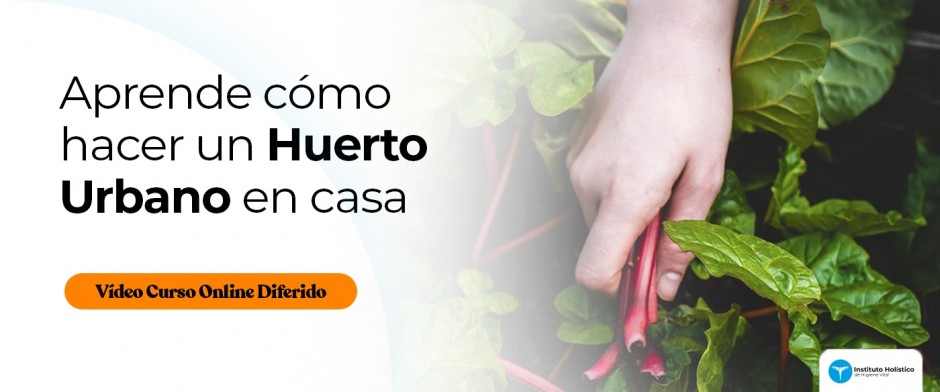 Módulo 4_ Crear Huerto Urbano en Casa