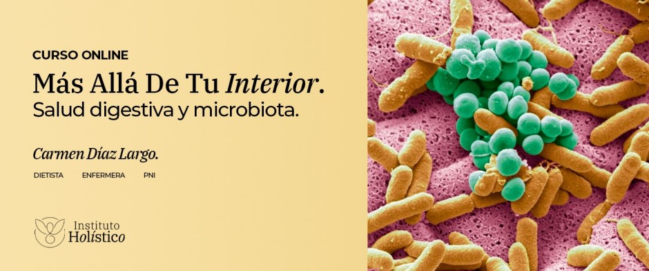 Módulo 1 Nuestro Mundo Interior. Salud Digestiva Y Microbiota